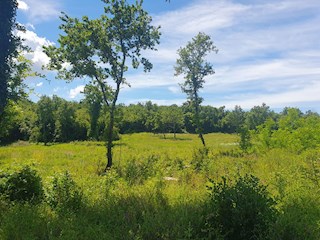 Vendita, Medvidići, Terreno edificabile 802 m², Z-653