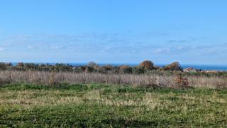 Terreno edificabile Poreč, 1.500m2