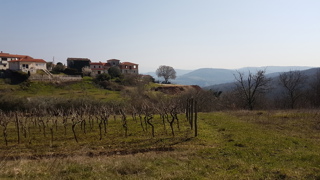 In vendita terreno edificabile di 612 m² con splendida vista su Motovun
