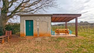 Terreno agricolo a Poreč – 18.000 m² con edificio agricolo