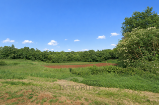 Terreno edificabile Sveti Lovreč, 964m2
