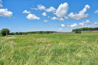 Zona di Parenzo, terreno agricolo, 32619 m2