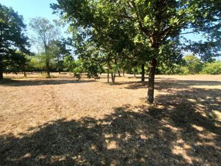 Chersano, terreno edificabile, 1.687 m², OCCASIONE!