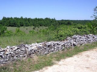 Terreno edificabile e agricolo di 1720 m2, vicino a Žminj