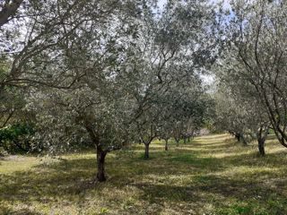 Terreno edificabile in una posizione attraente, Visinada