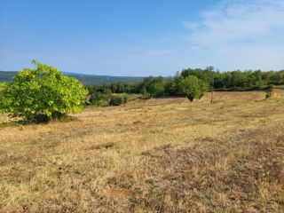 Terreno Pićan, 11.584m2