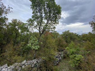 ŠMRIKA - Foresta / Terreno agricolo, 5466 m2