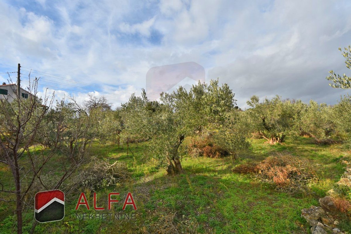 Croazia, Isola di Prvić, Šepurine – casa in vendita con ampio giardino e vista mare