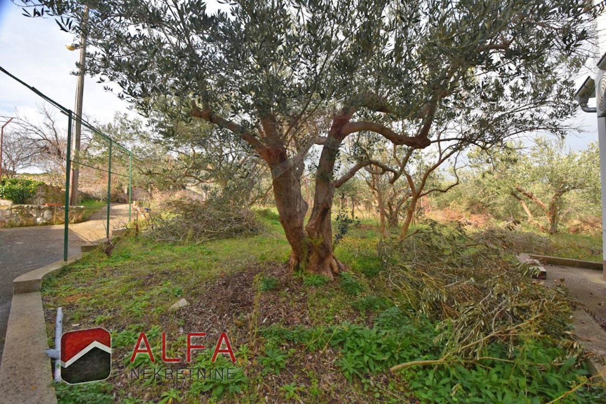 Croazia, Isola di Prvić, Šepurine – casa in vendita con ampio giardino e vista mare