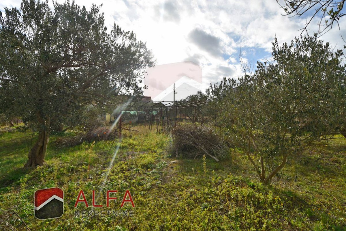 Croazia, Isola di Prvić, Šepurine – casa in vendita con ampio giardino e vista mare