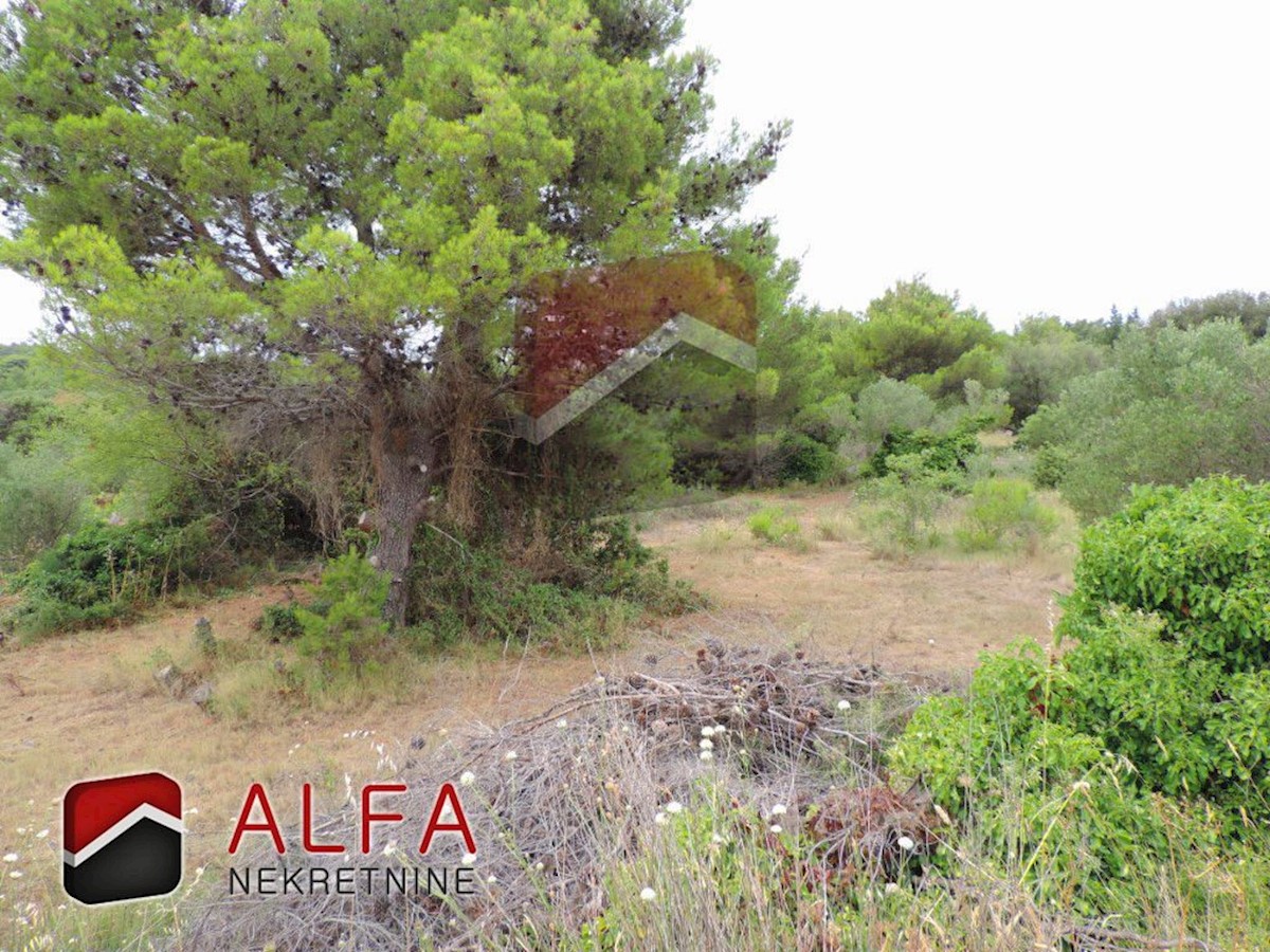 Croazia, isola di Prvic, Prvic Sepurine, attraente terreno in vendita con prima fila al mare