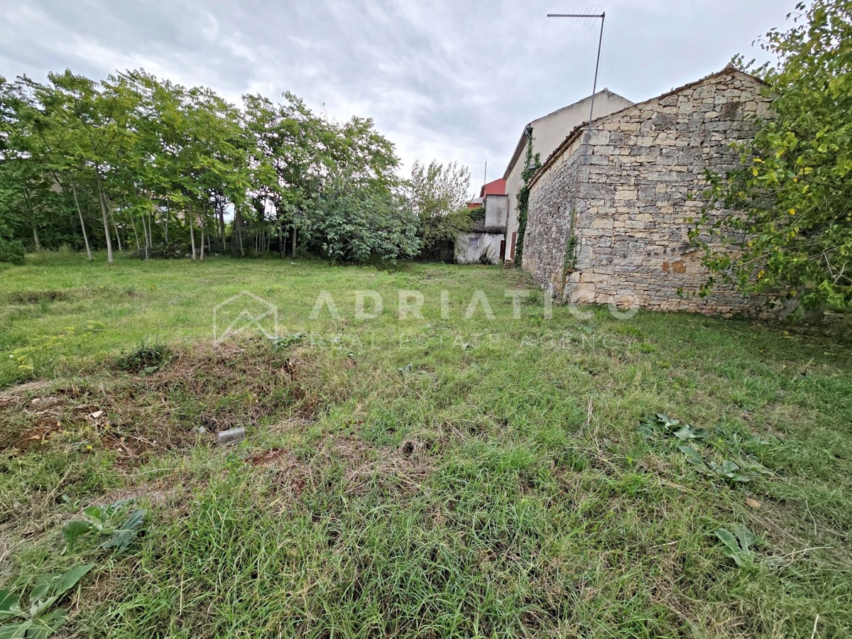 Rovigno, dintorni, vecchia casa in pietra con ampio giardino