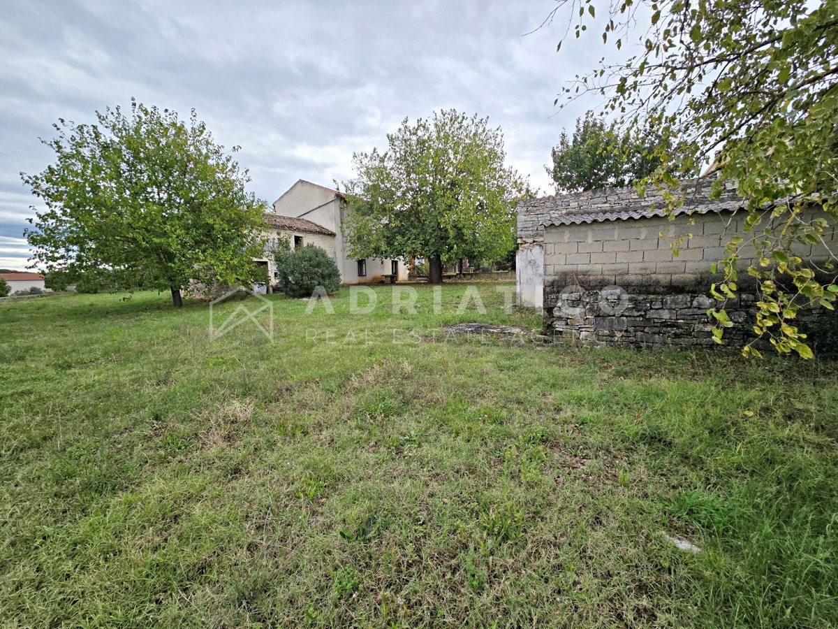 Rovigno, dintorni, vecchia casa in pietra con ampio giardino