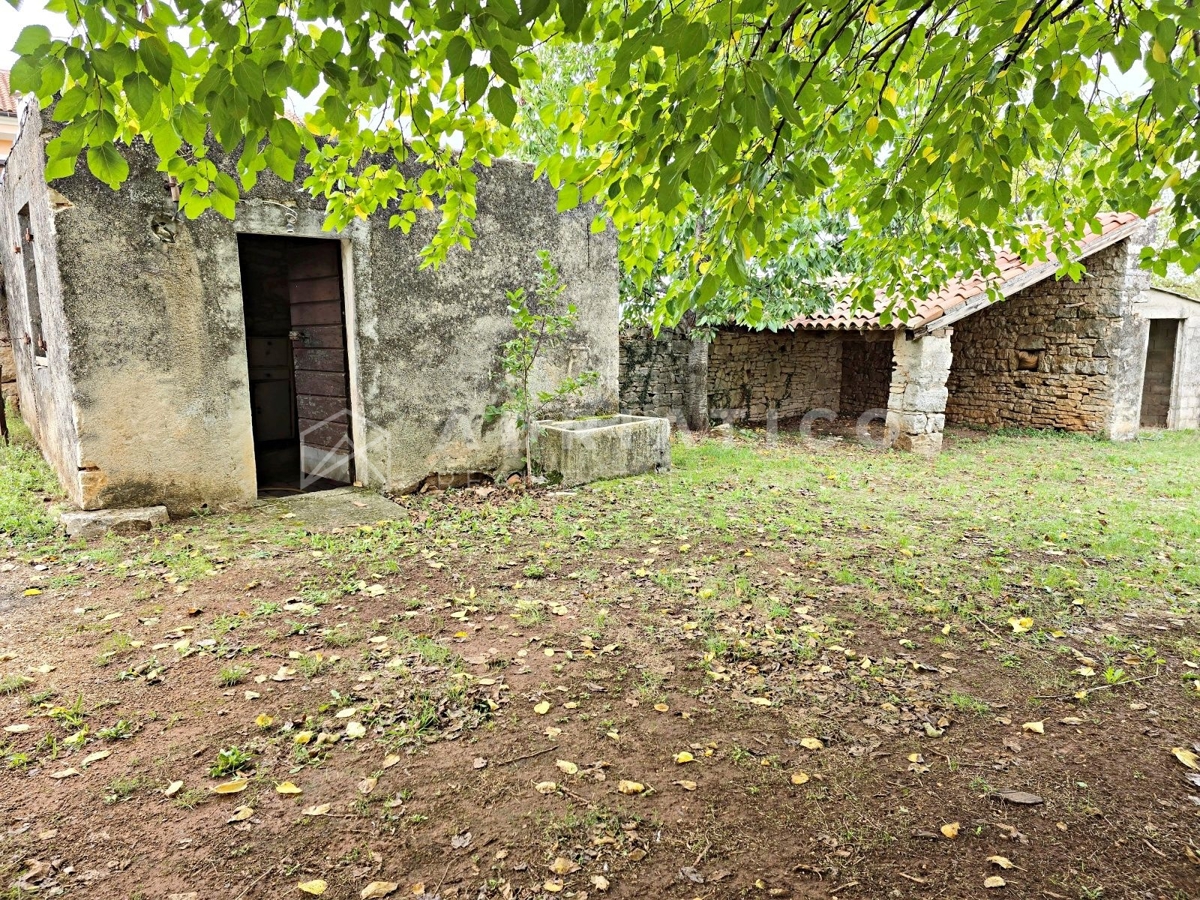 Rovigno, dintorni, vecchia casa in pietra con ampio giardino