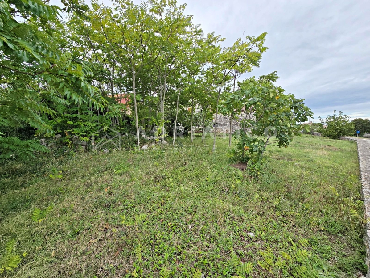 Rovigno, dintorni, vecchia casa in pietra con ampio giardino