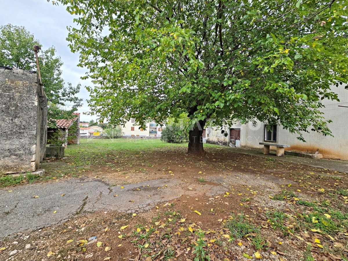 Rovigno, dintorni, vecchia casa in pietra con ampio giardino