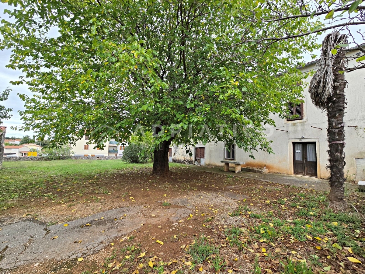 Rovigno, dintorni, vecchia casa in pietra con ampio giardino