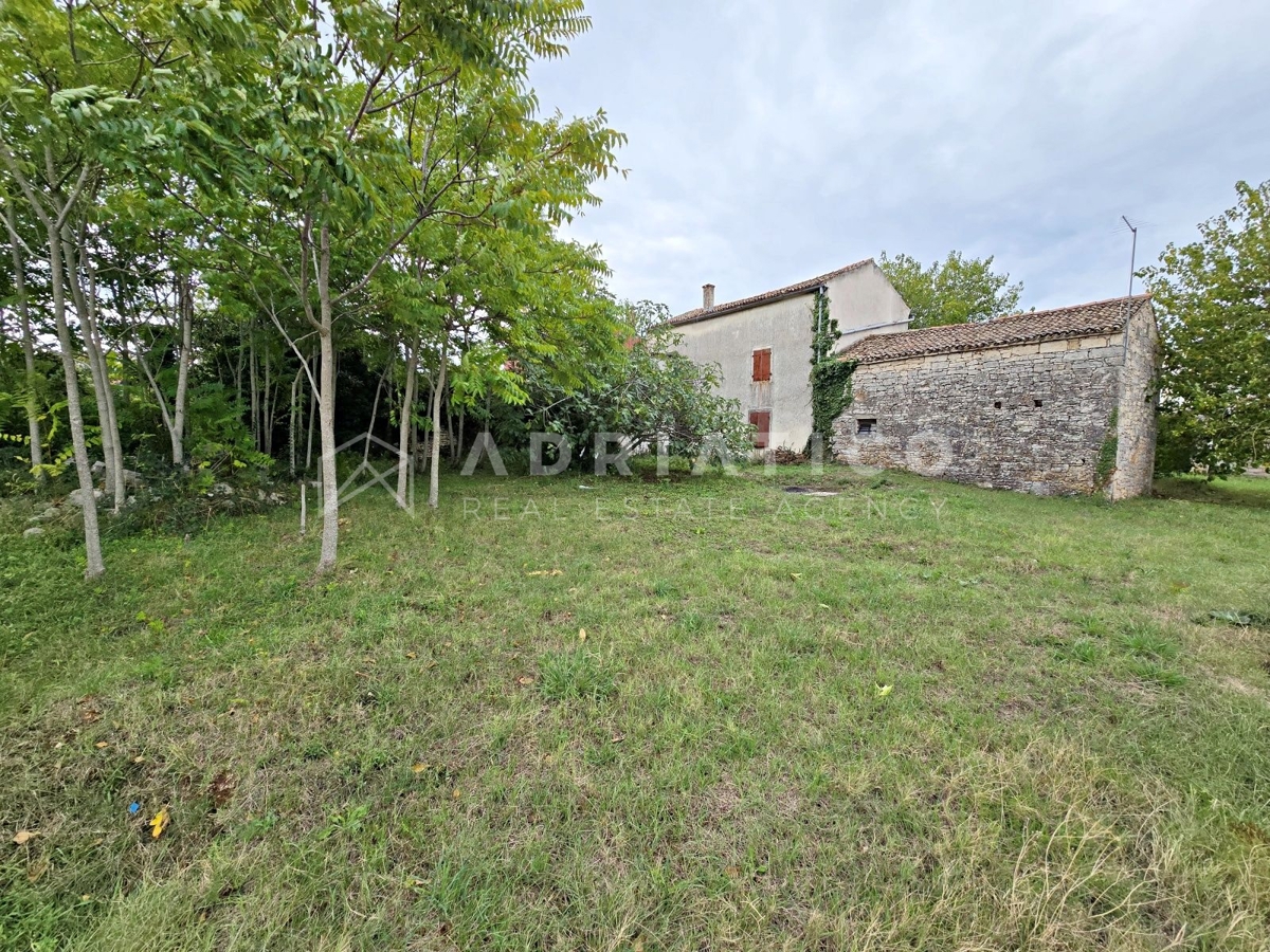 Rovigno, dintorni, vecchia casa in pietra con ampio giardino