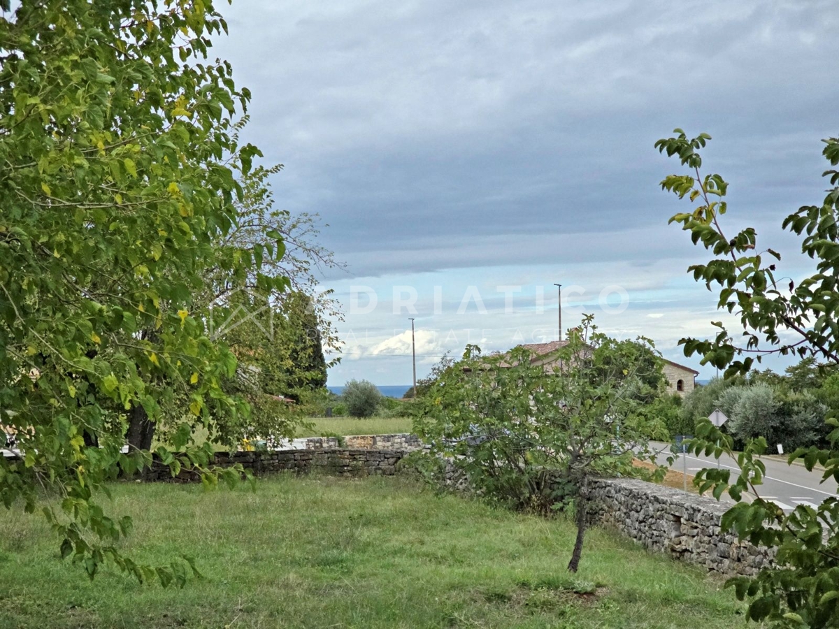 Rovigno, dintorni, vecchia casa in pietra con ampio giardino