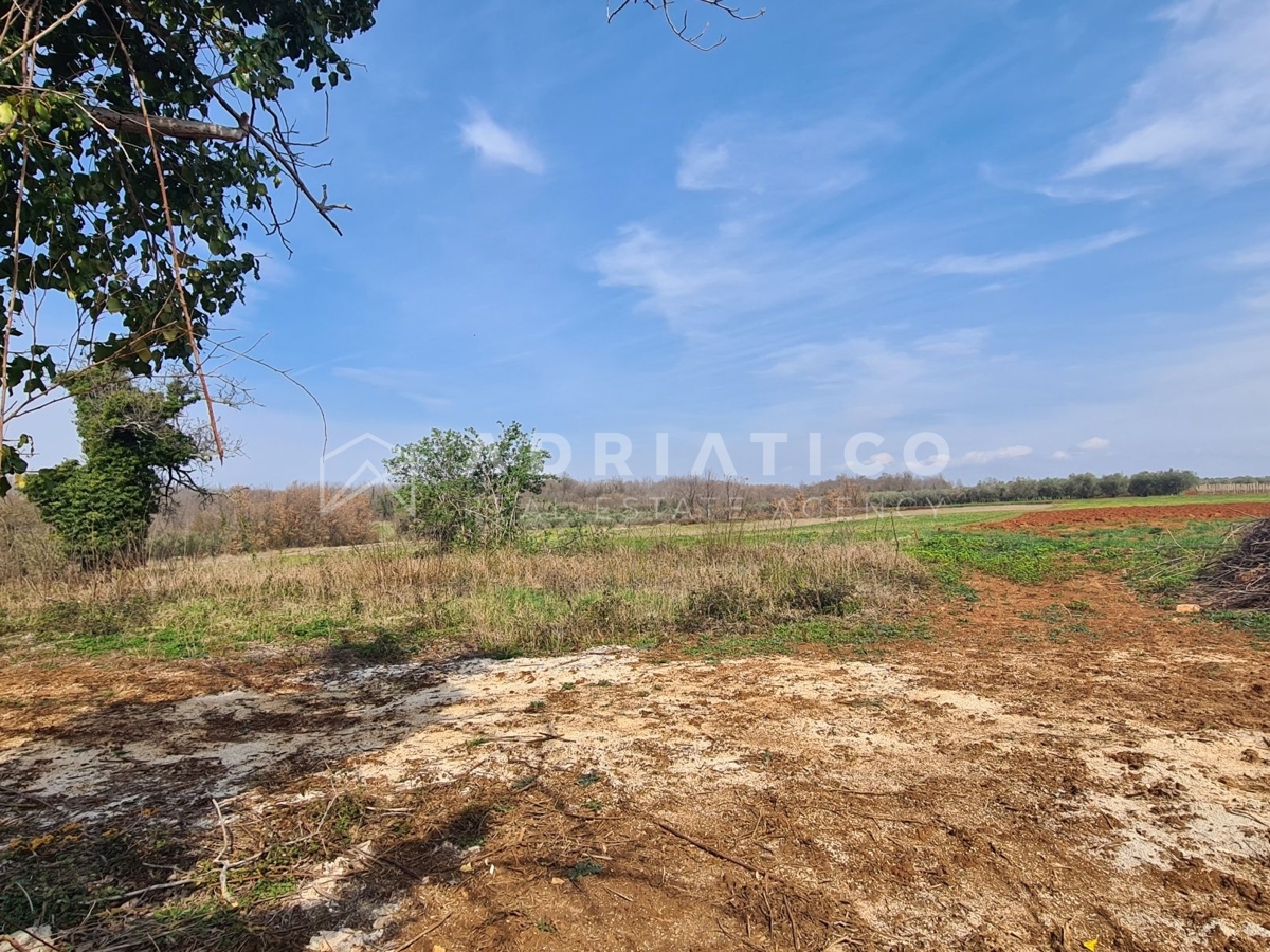 Visinada, casa secolare in pietra con ampio giardino