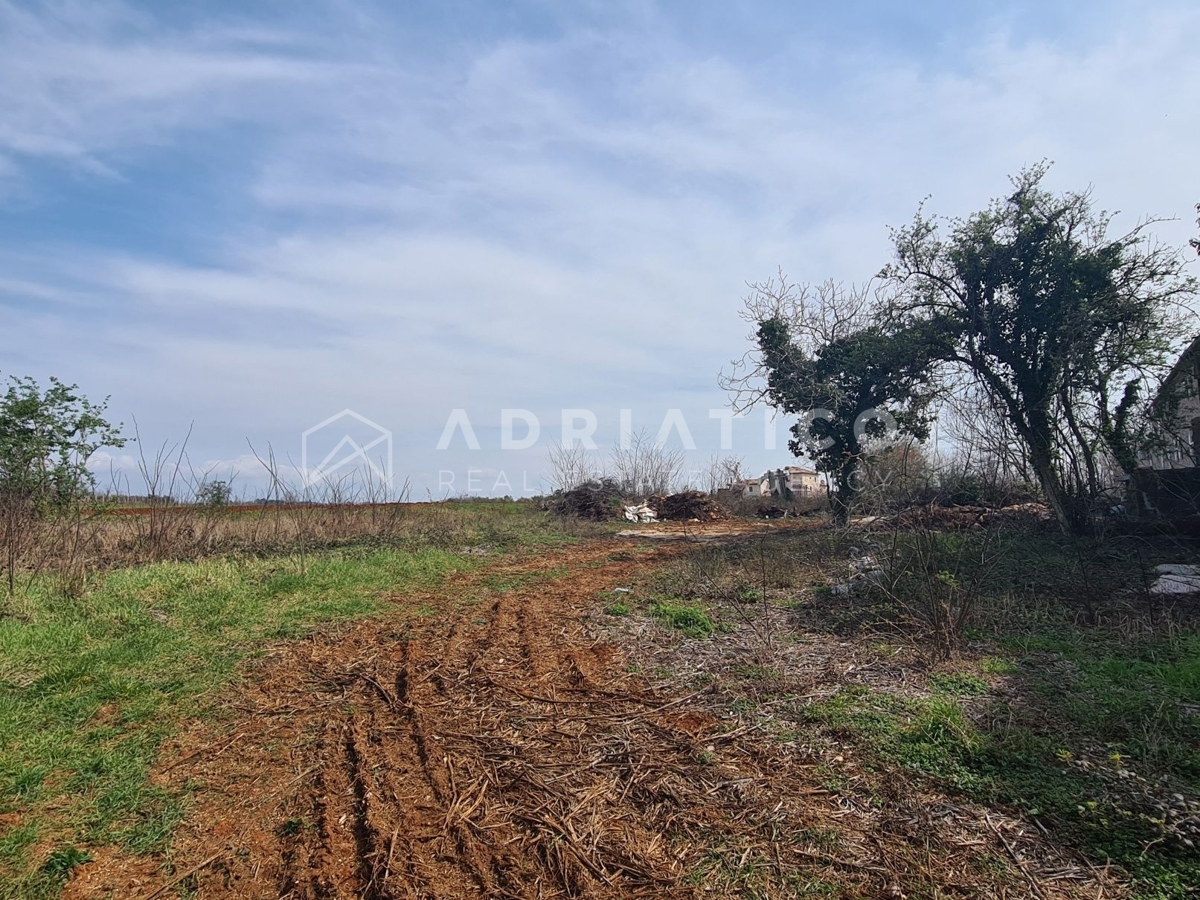 Visinada, casa secolare in pietra con ampio giardino