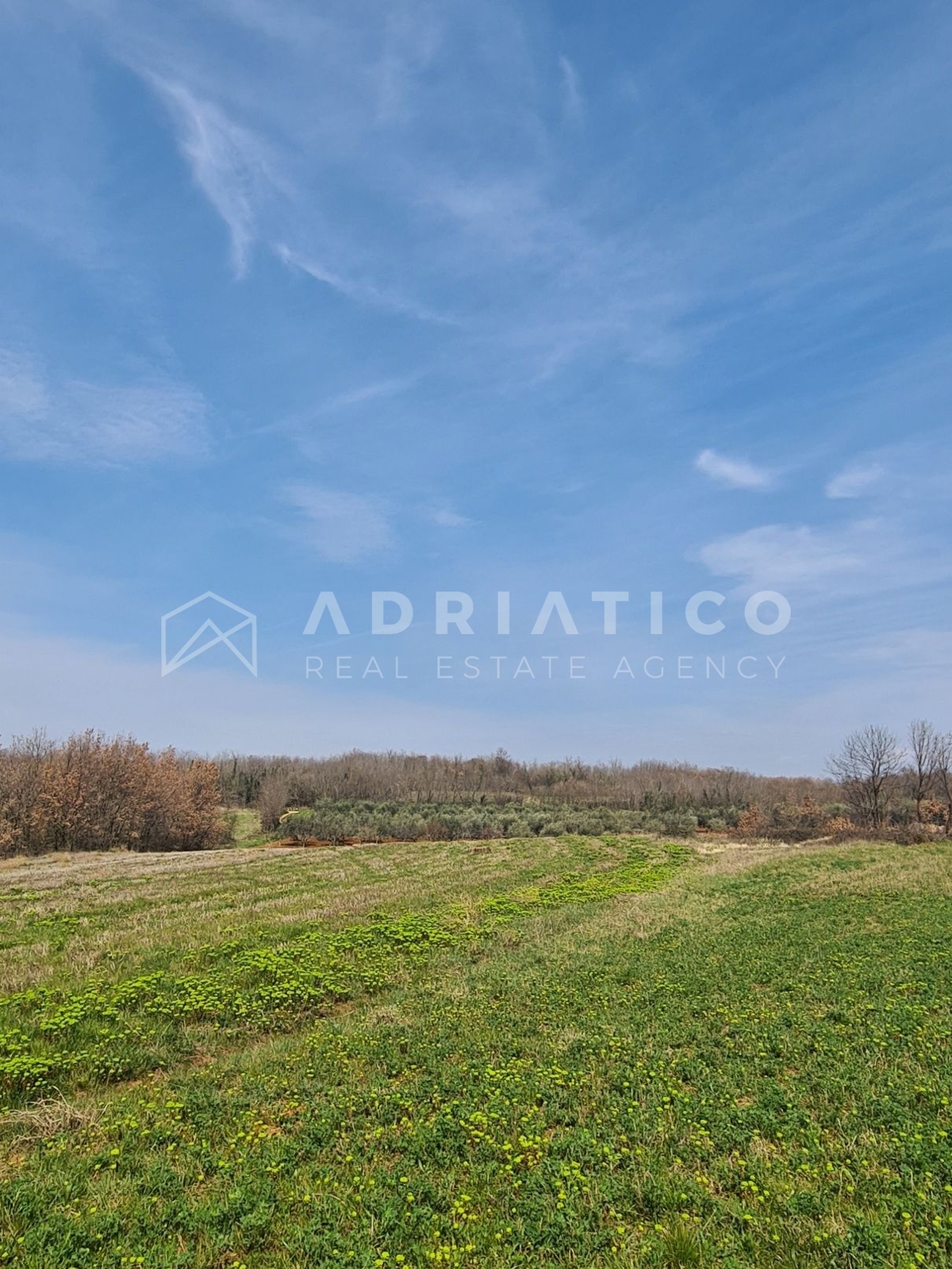 Visinada, casa secolare in pietra con ampio giardino