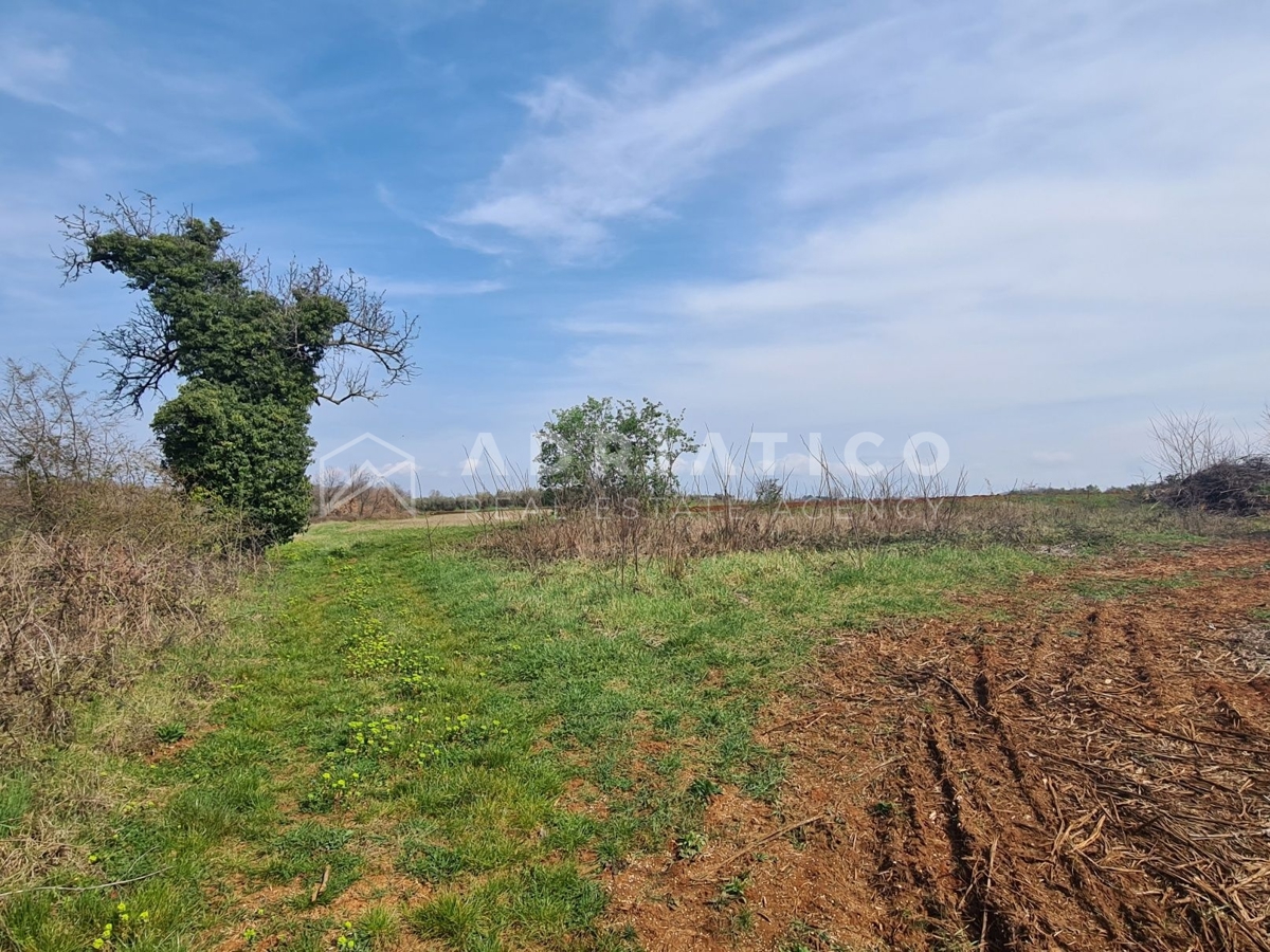 Visinada, casa secolare in pietra con ampio giardino