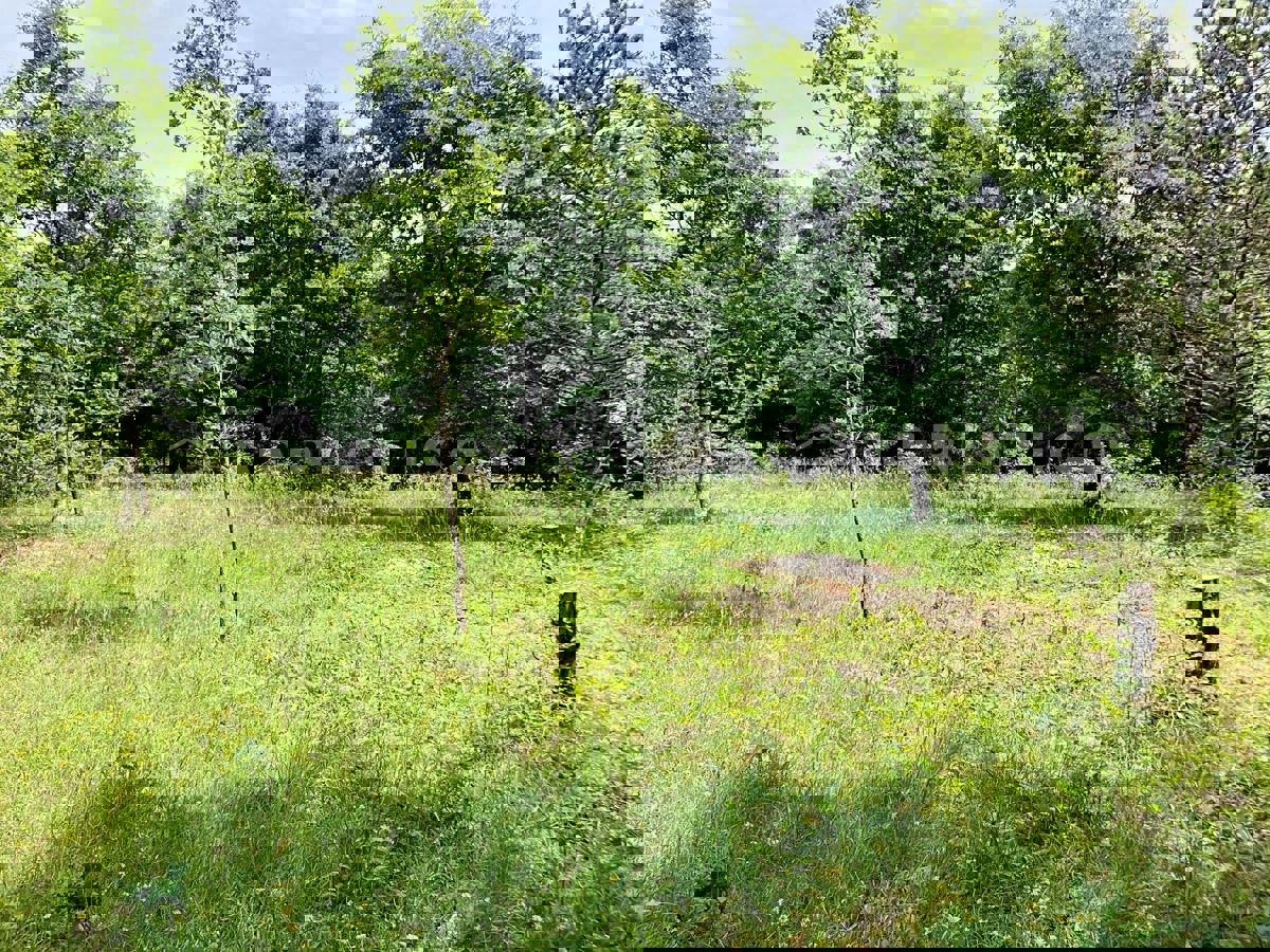 Kanfanar, Barat, ampio terreno agricolo