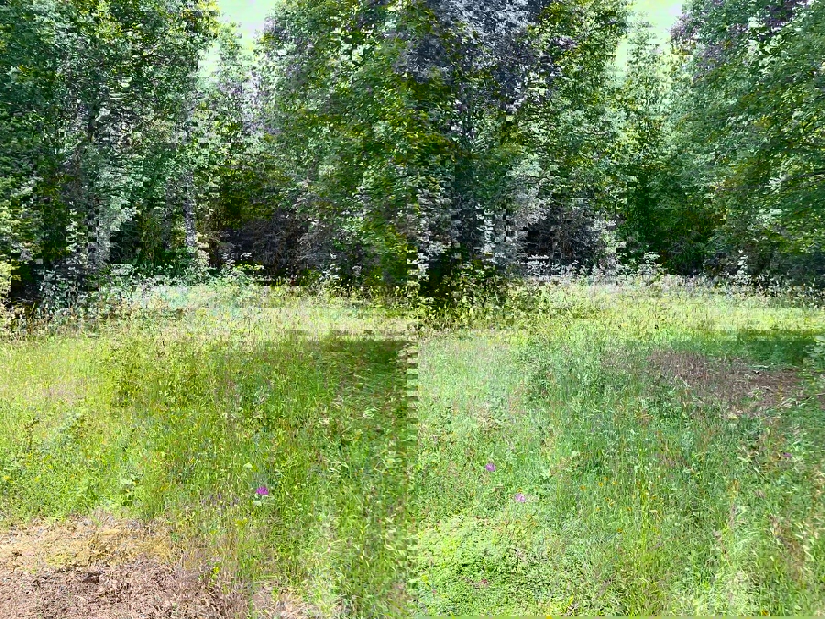 Kanfanar, Barat, ampio terreno agricolo