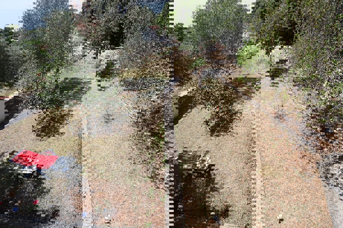 Rovigno, casa con due unità abitative e giardino, a 800 m dal mare