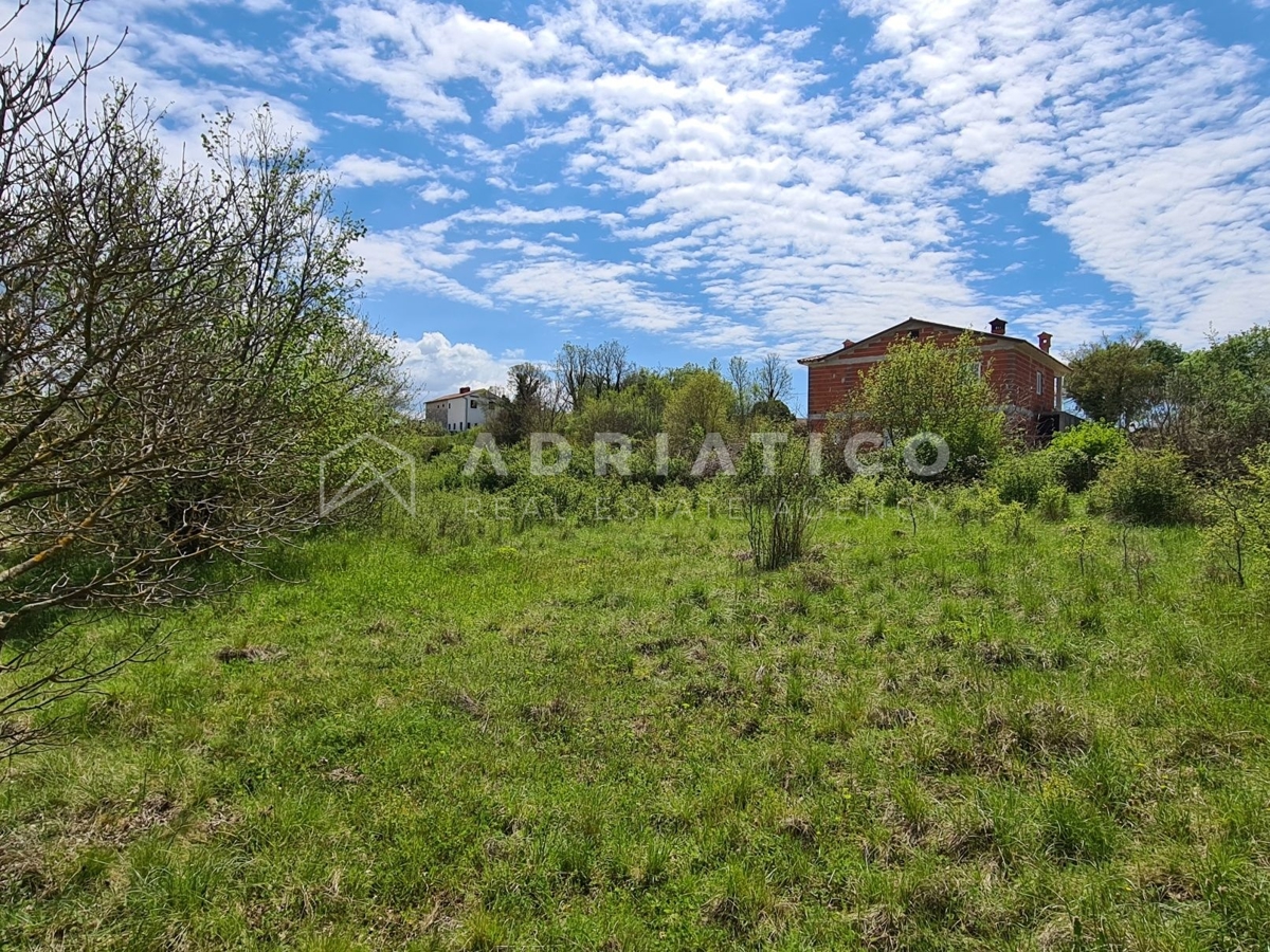 Sveti Lovreč, terreno edificabile 1200m2 + bosco 28600m2