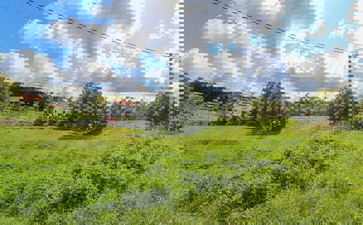 Pazin – Ampio terreno edificabile in un tranquillo villaggio