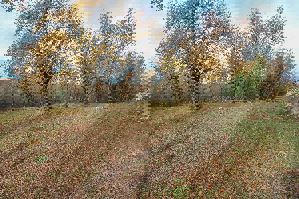 Zona Parenzo, casa in pietra con molto terreno