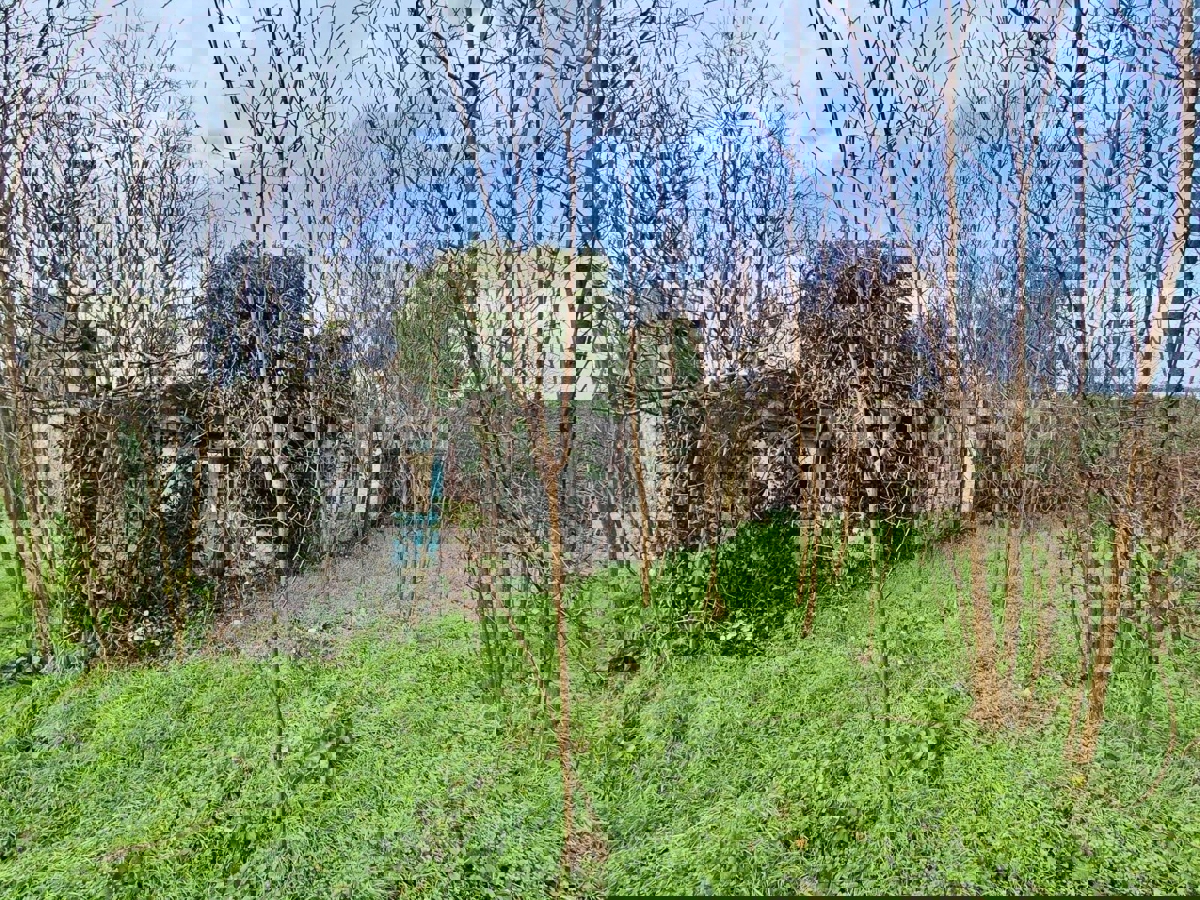 Bale, dintorni, casa in pietra da ristrutturare