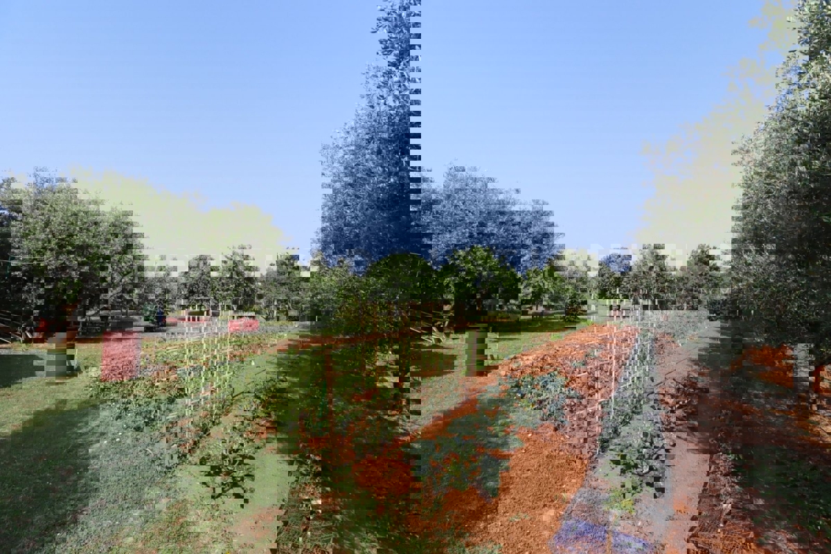 Rovigno, terreno agricolo con annesso.