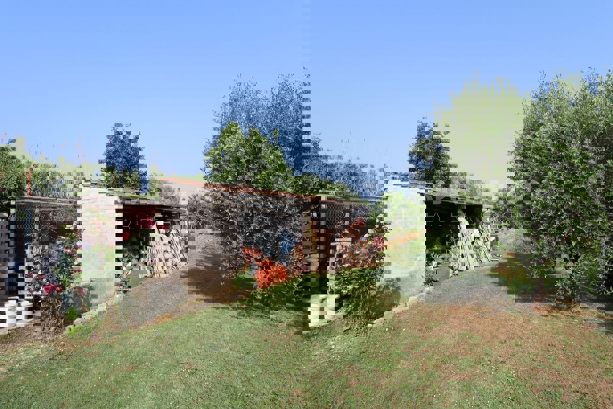 Rovigno, terreno agricolo con annesso.