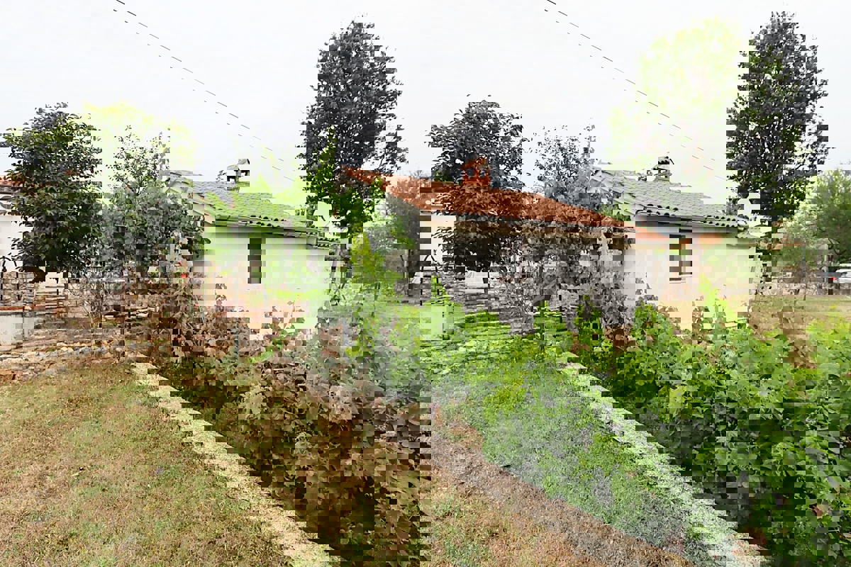 Canfanaro, dintorni, casa con due unità abitative e un appartamento