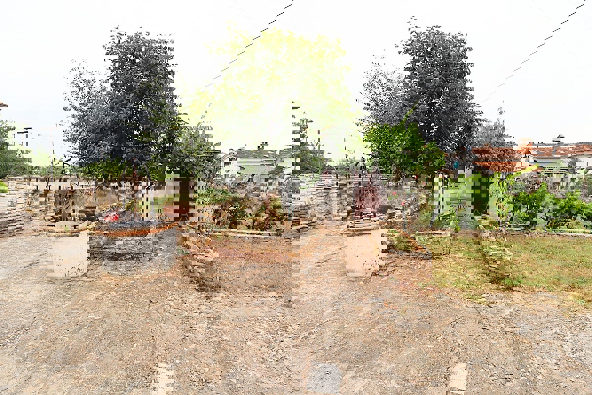 Canfanaro, dintorni, casa con due unità abitative e un appartamento