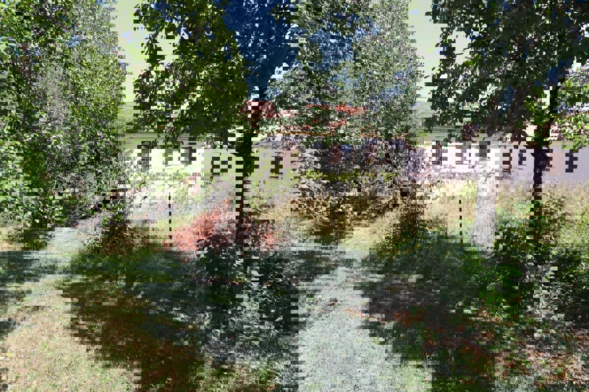 Zona di Pazin, casa indipendente da ristrutturare + vigneto