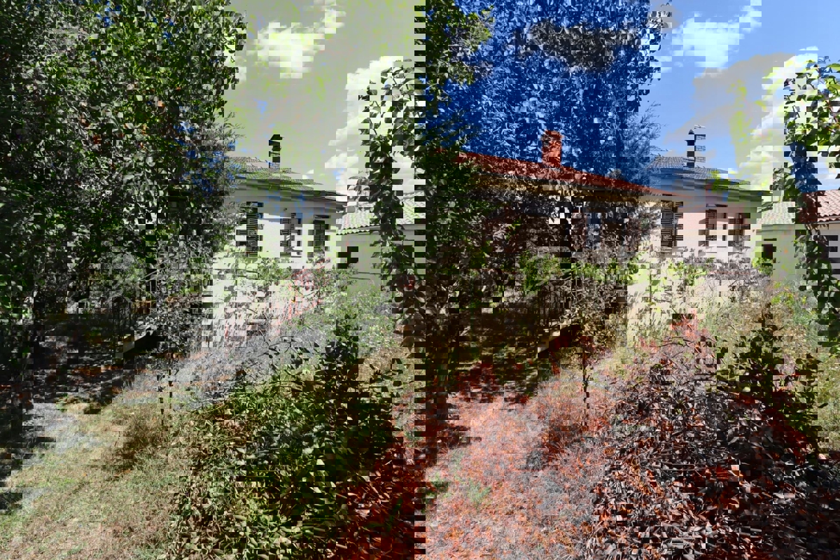 Zona di Pazin, casa indipendente da ristrutturare + vigneto