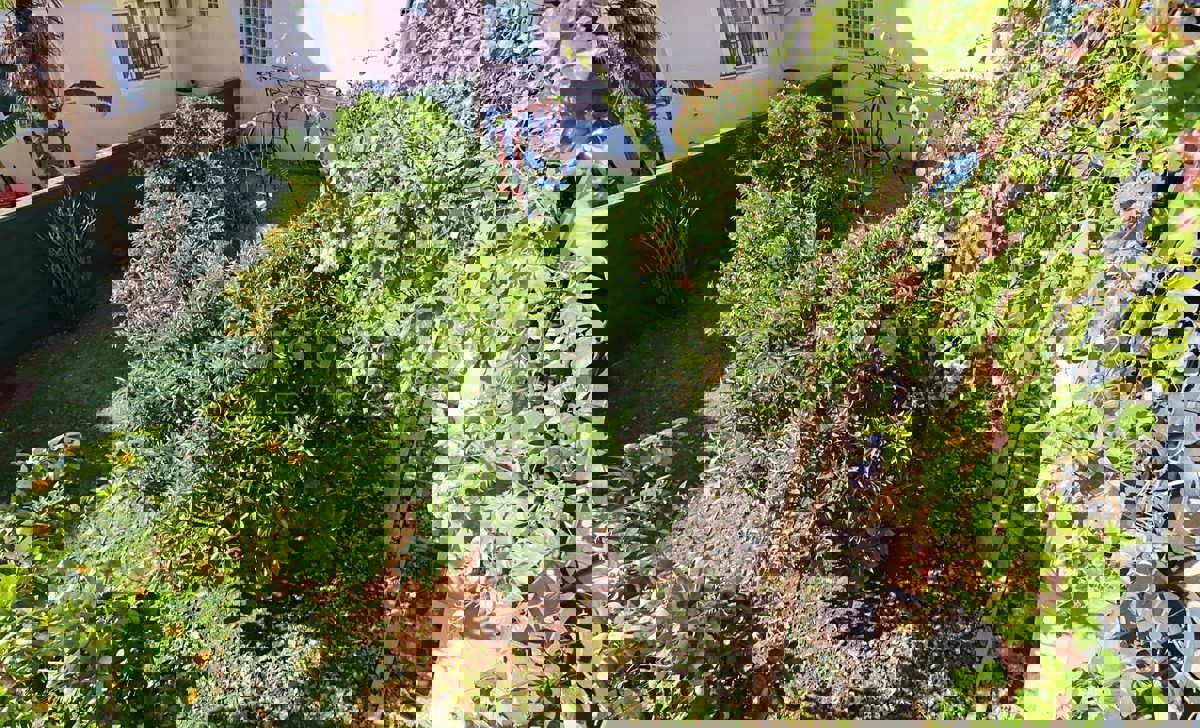 Rovigno, casa con appartamenti vicino al mare e alle spiagge