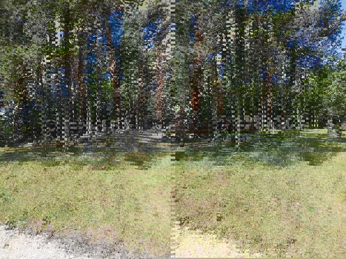 Žminj, dintorni, attraente terreno edificabile in posizione tranquilla