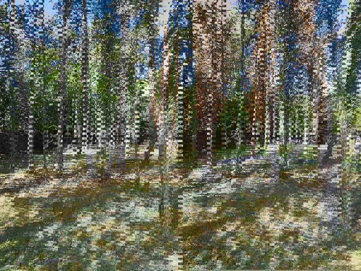 Žminj, dintorni, attraente terreno edificabile in posizione tranquilla