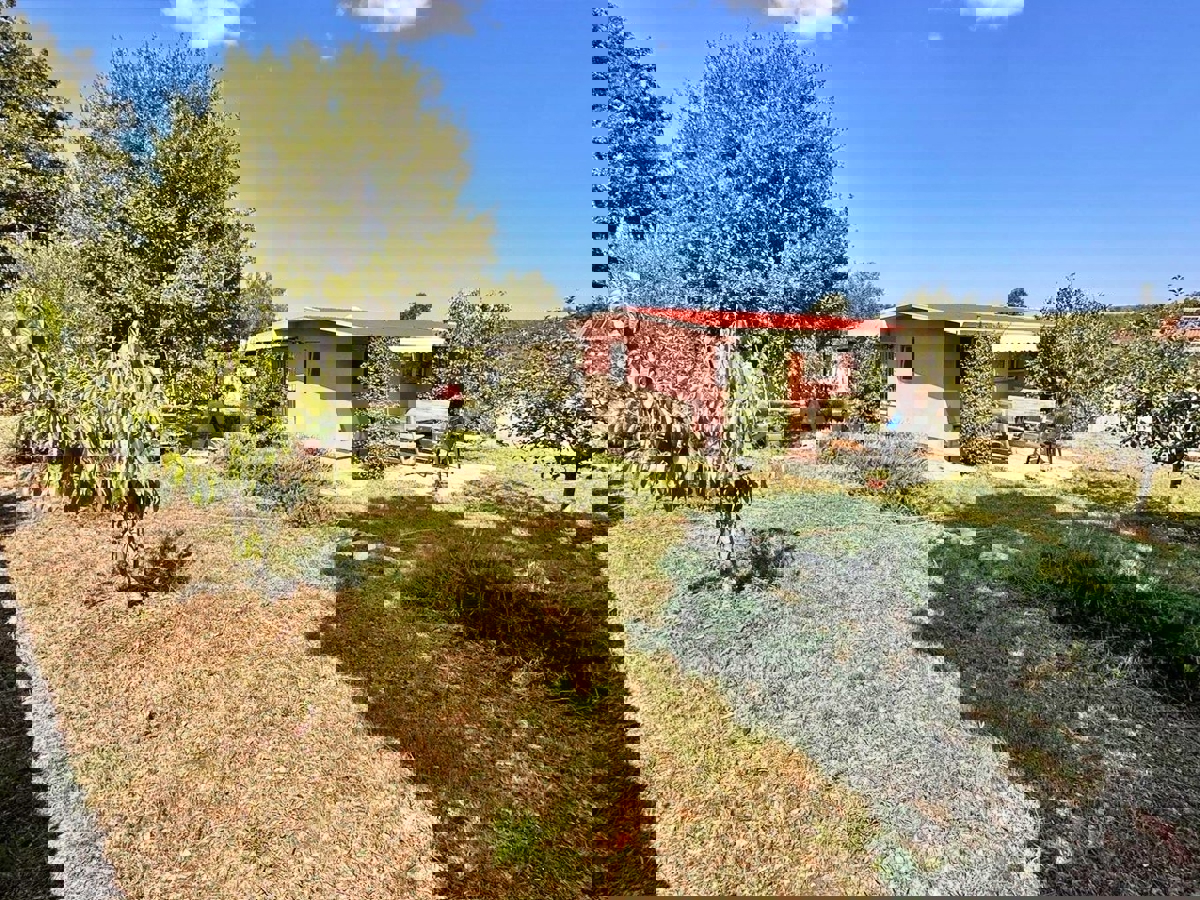 Rovigno, casa su un piano con piscina, giardino e uliveto