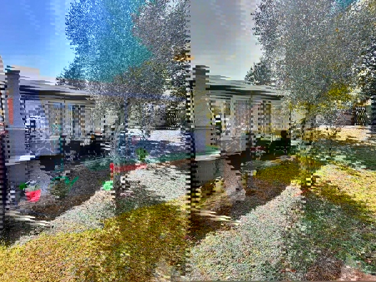 Rovigno, casa su un piano con piscina, giardino e uliveto