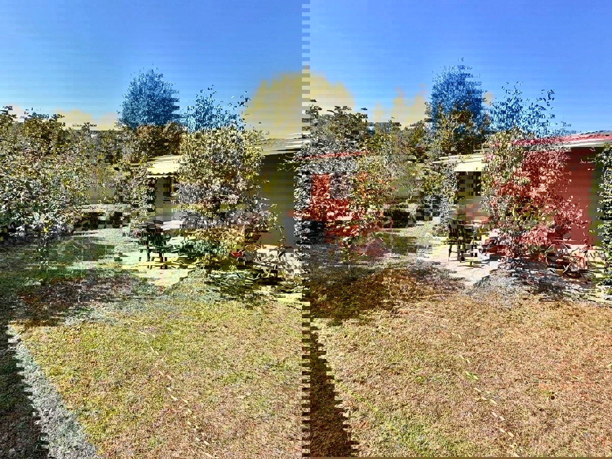 Rovigno, casa su un piano con piscina, giardino e uliveto