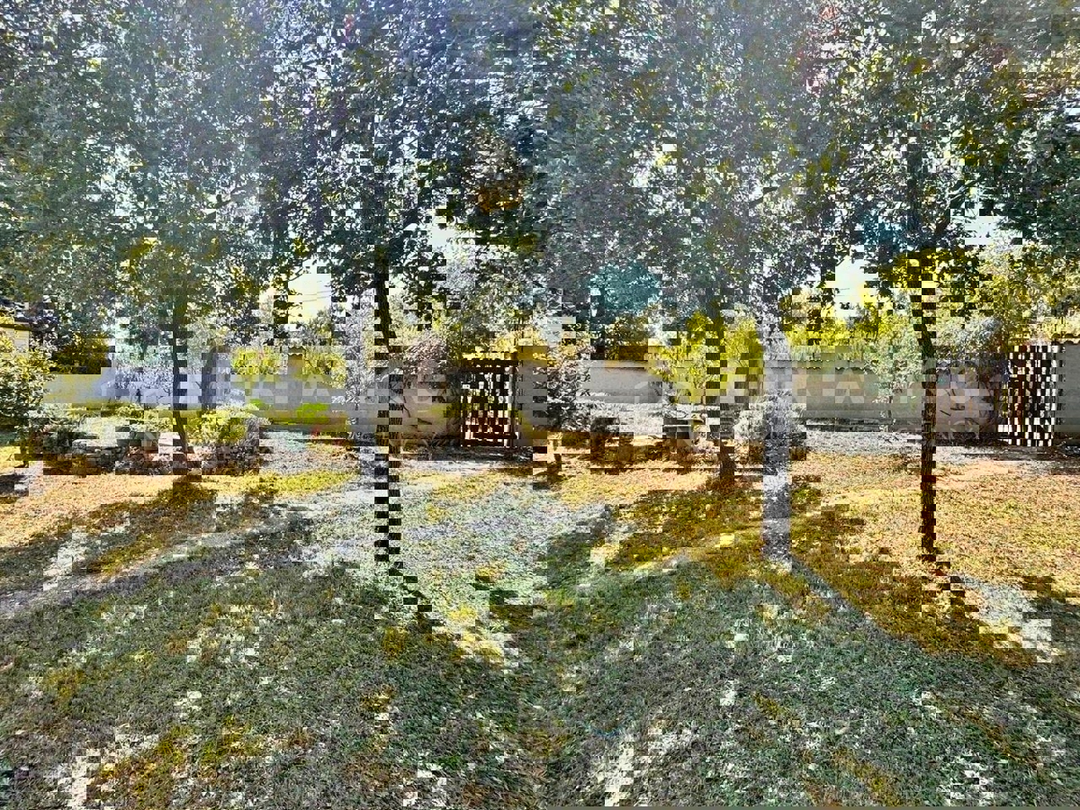 Rovigno, casa su un piano con piscina, giardino e uliveto