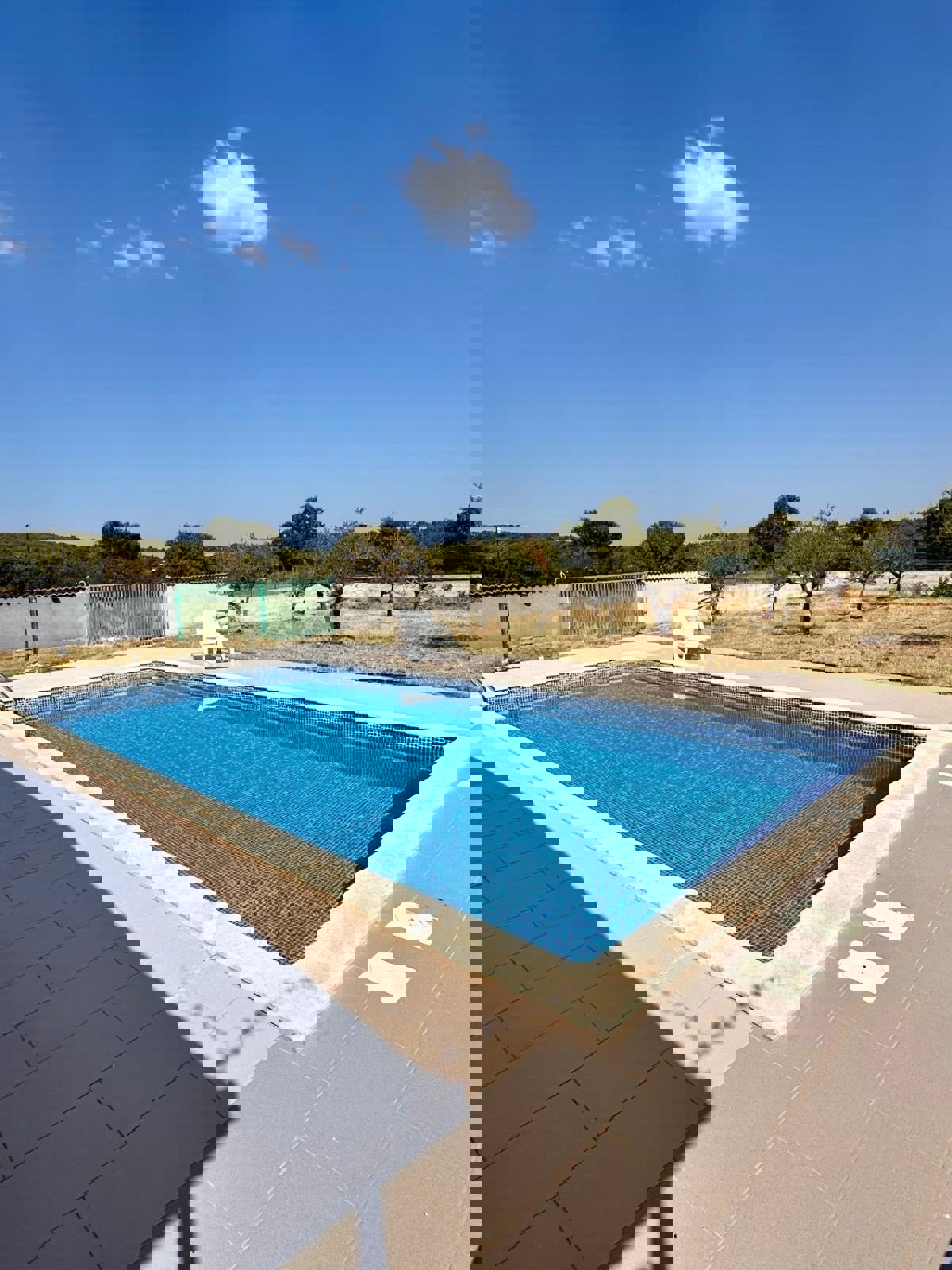 Rovigno, casa su un piano con piscina, giardino e uliveto