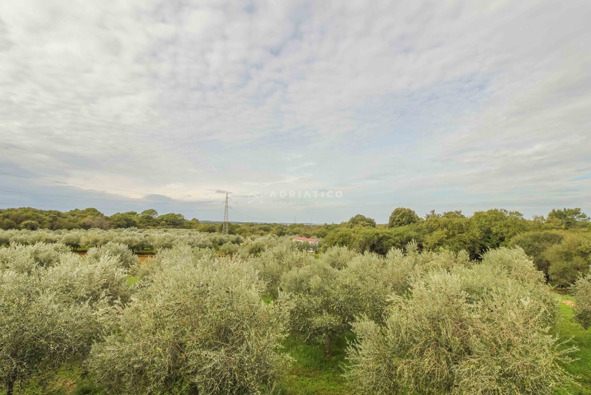 Dintorni di Pola, Nuova casa con piscina e pietra