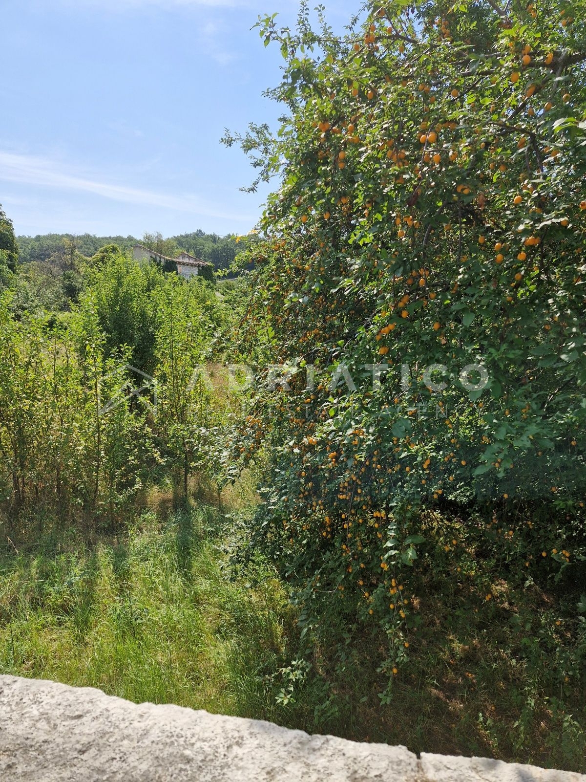 Canfanaro, appartamento abitabile e casa in pietra da adattare